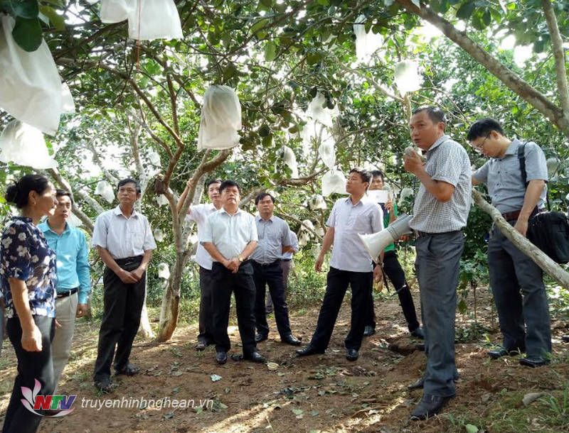 Xem chi tiết